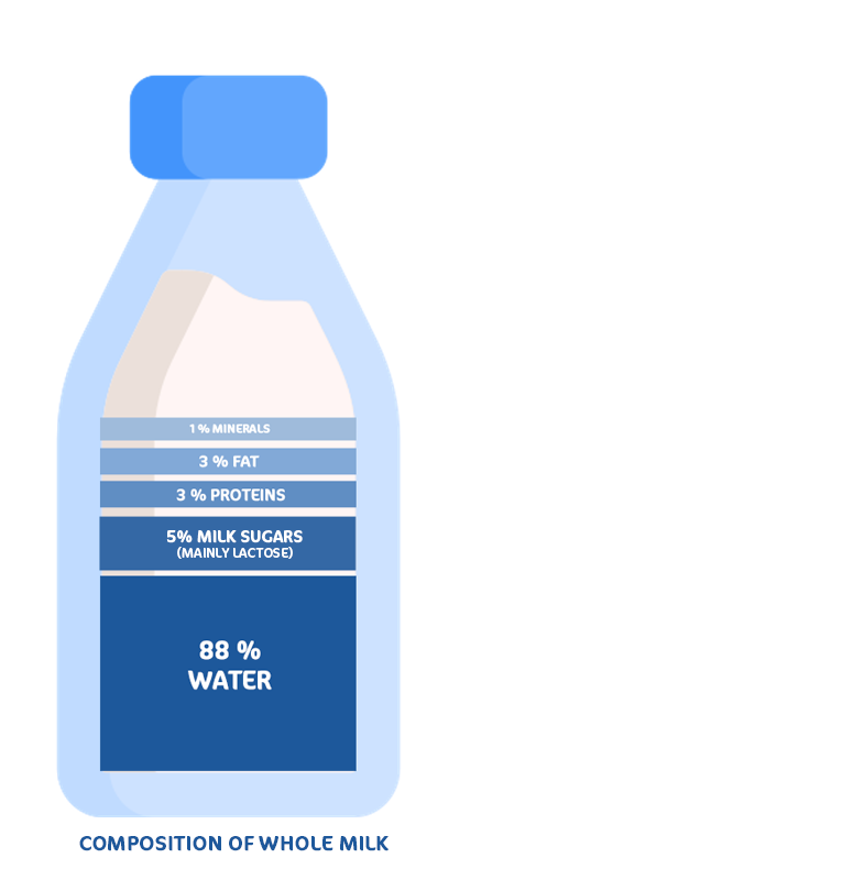 Composition of whole milk